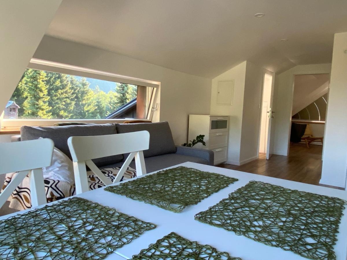 Apartment Zidana Marela - Attic With A View 克拉尼斯卡戈拉 外观 照片