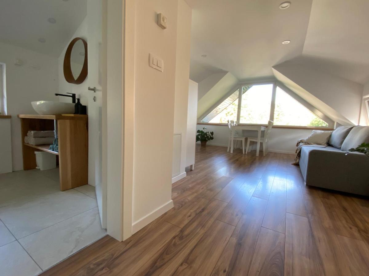 Apartment Zidana Marela - Attic With A View 克拉尼斯卡戈拉 外观 照片