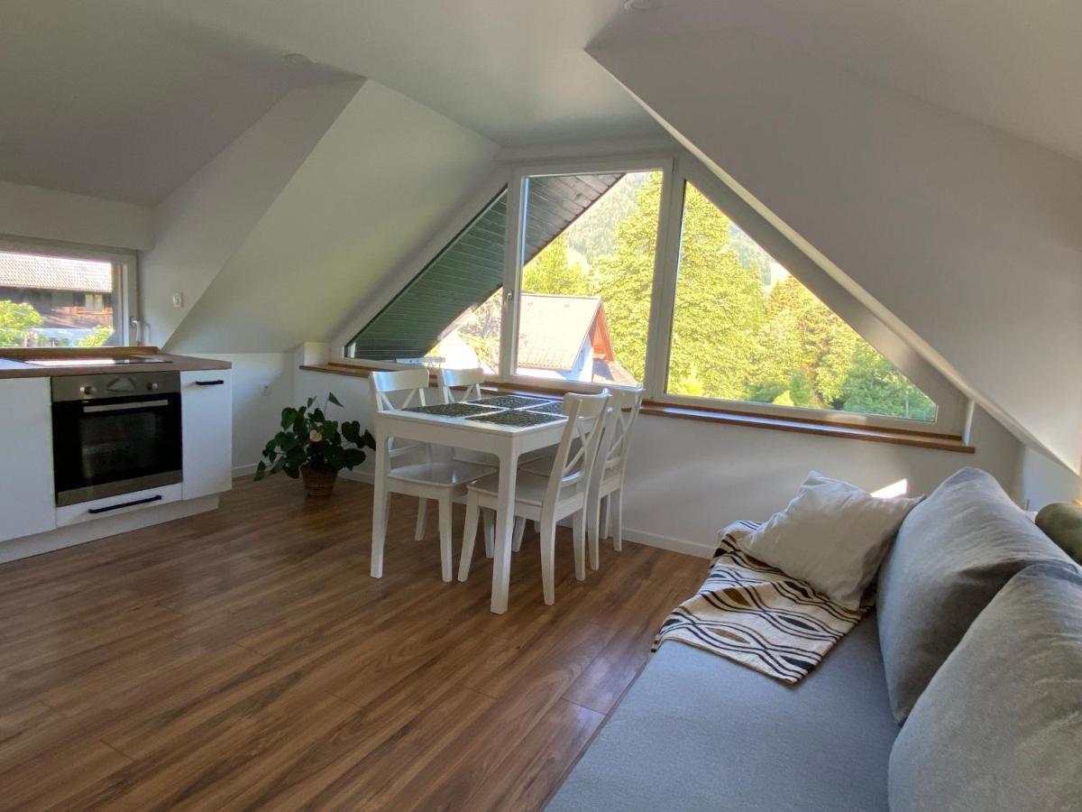 Apartment Zidana Marela - Attic With A View 克拉尼斯卡戈拉 外观 照片