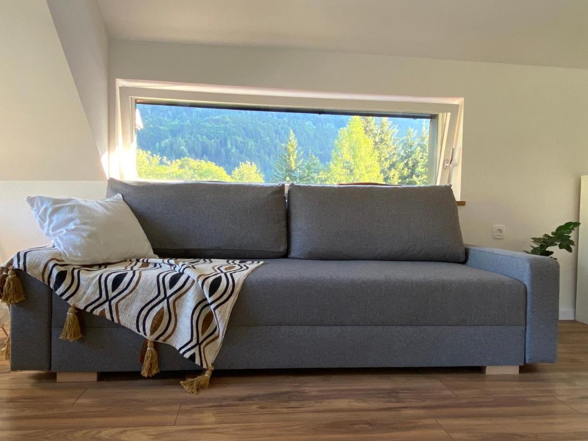 Apartment Zidana Marela - Attic With A View 克拉尼斯卡戈拉 外观 照片