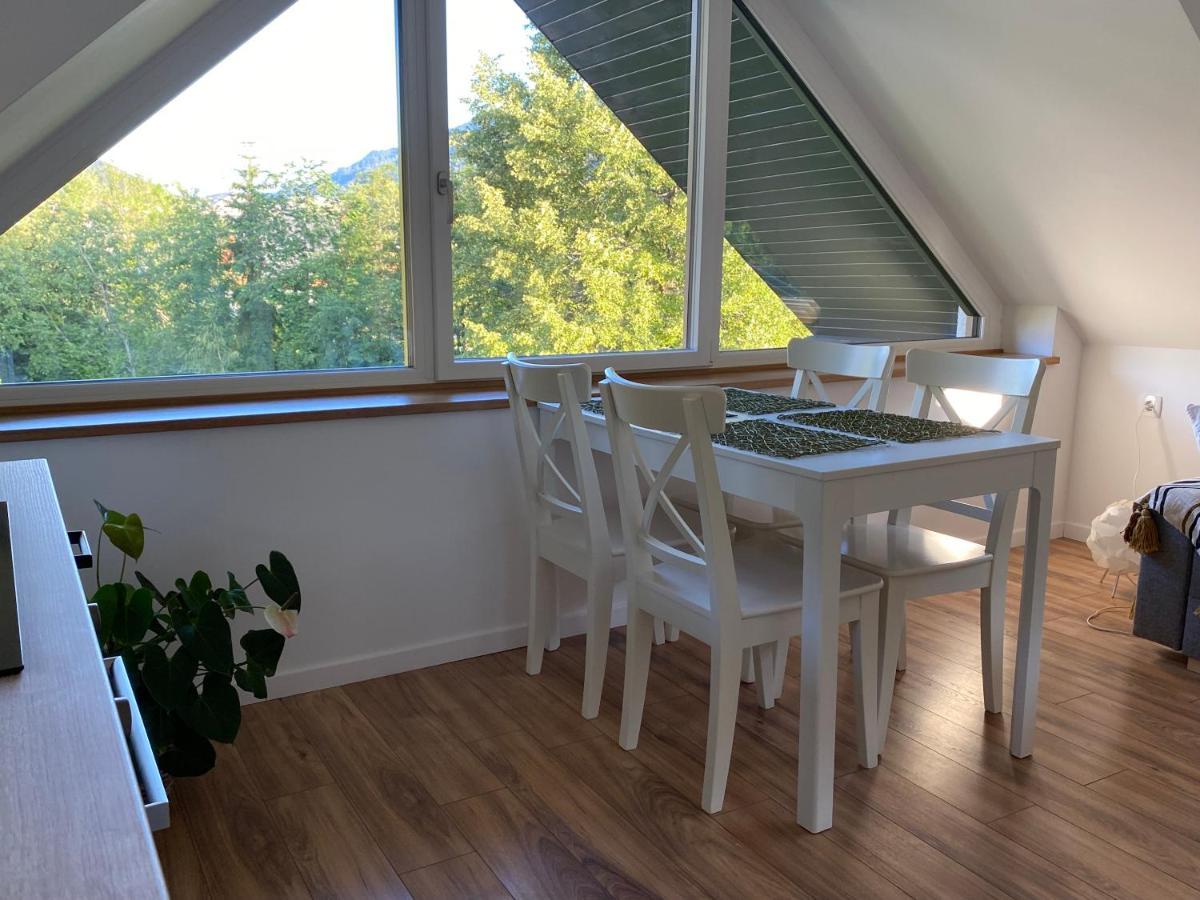 Apartment Zidana Marela - Attic With A View 克拉尼斯卡戈拉 外观 照片