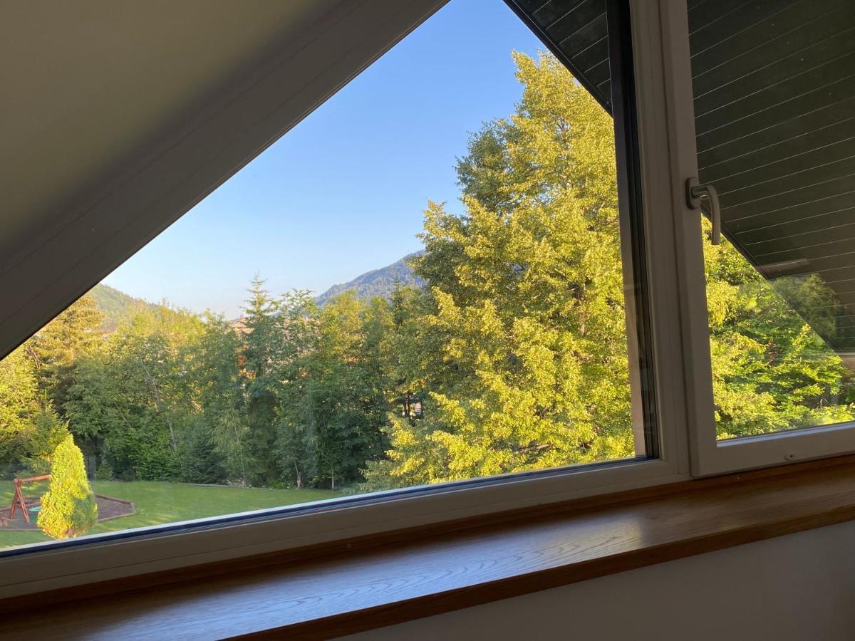 Apartment Zidana Marela - Attic With A View 克拉尼斯卡戈拉 外观 照片
