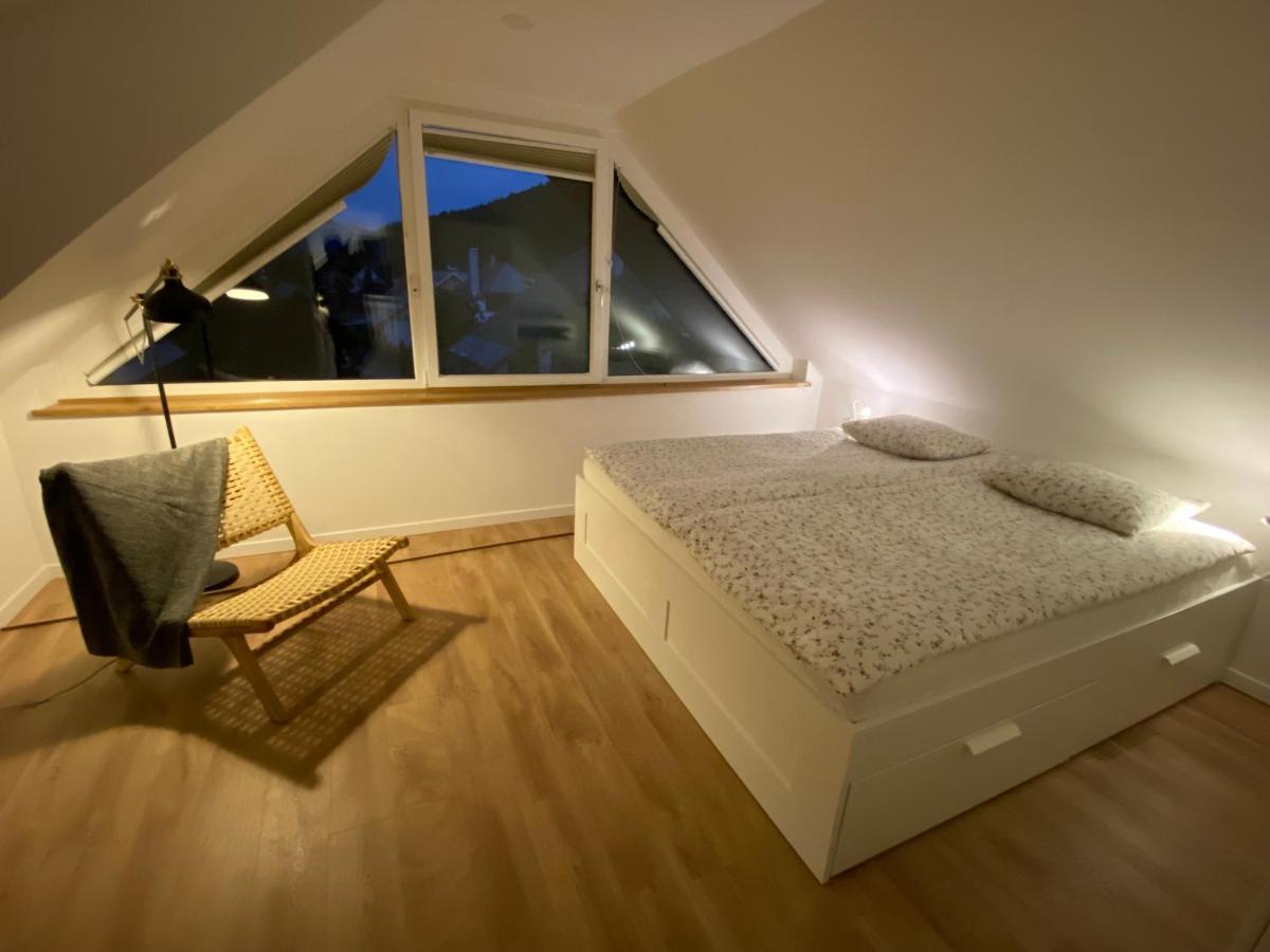 Apartment Zidana Marela - Attic With A View 克拉尼斯卡戈拉 外观 照片