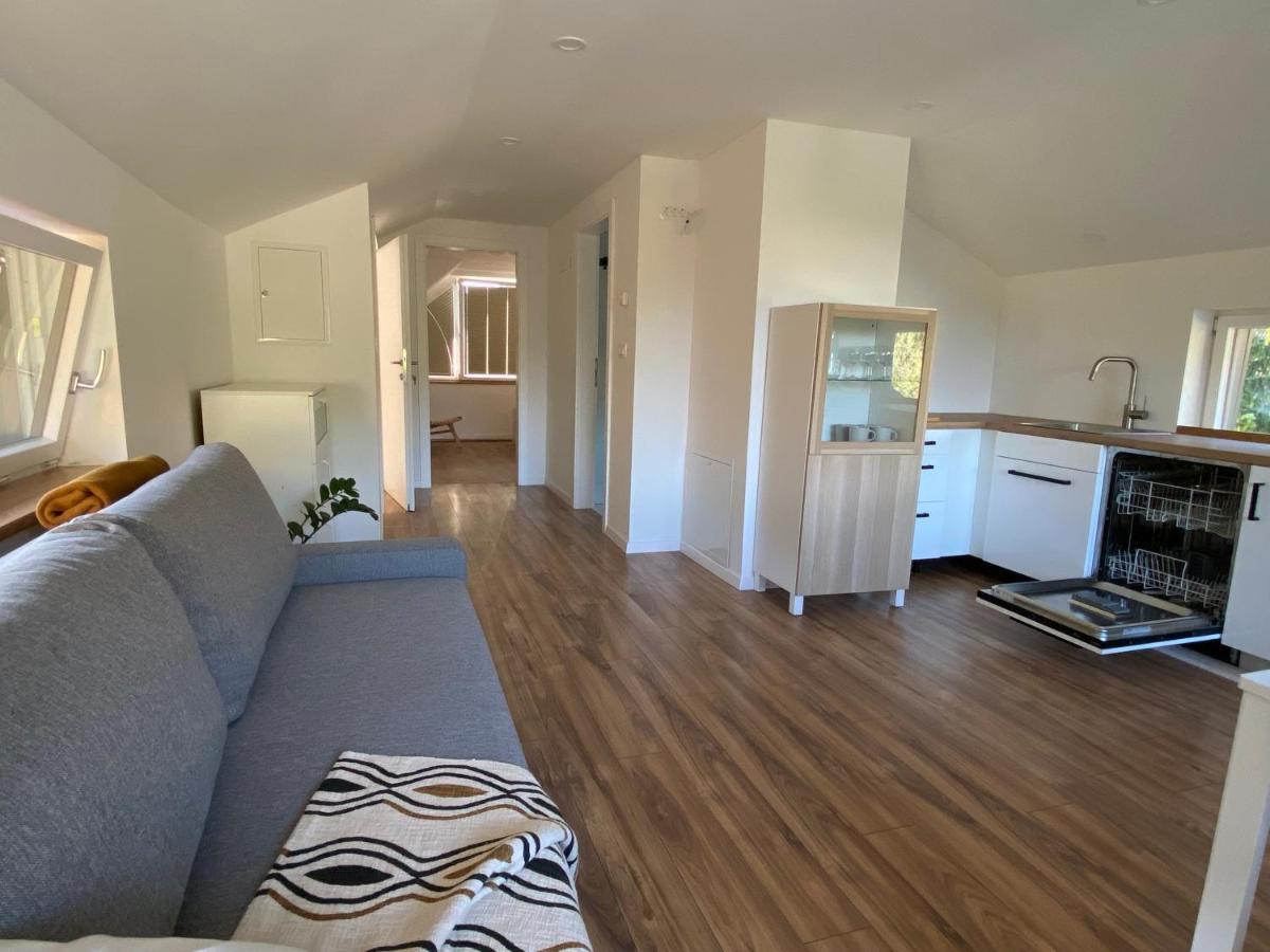 Apartment Zidana Marela - Attic With A View 克拉尼斯卡戈拉 外观 照片