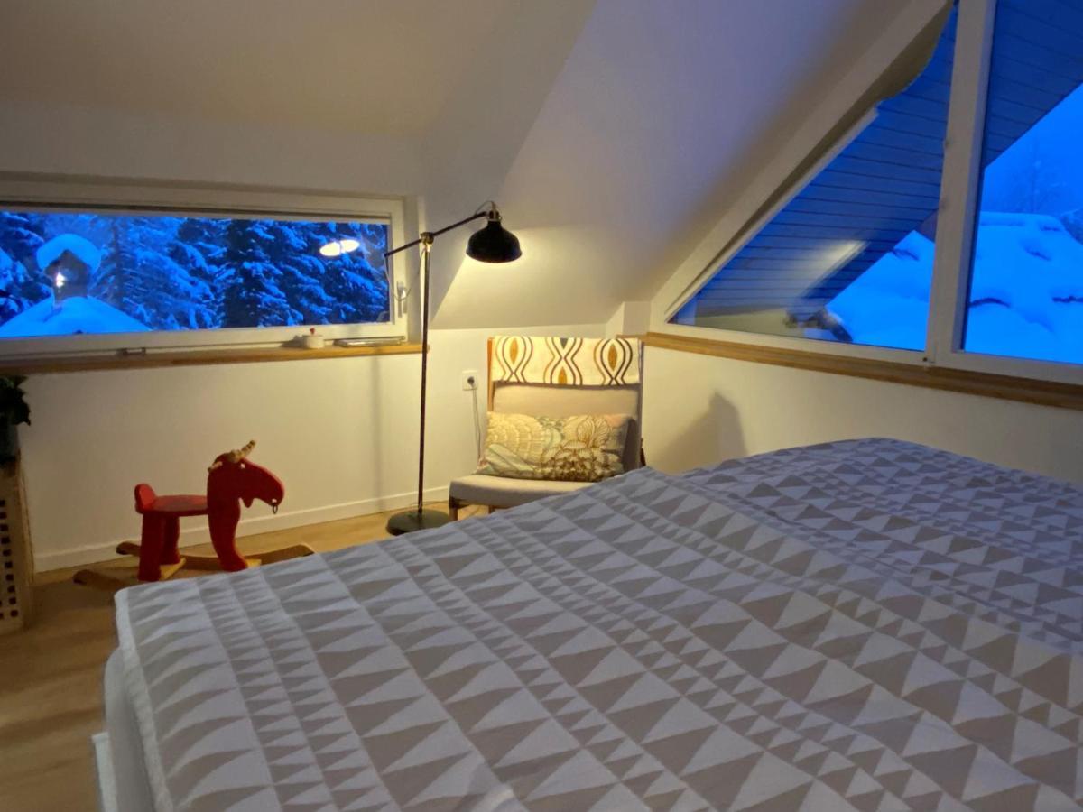 Apartment Zidana Marela - Attic With A View 克拉尼斯卡戈拉 外观 照片