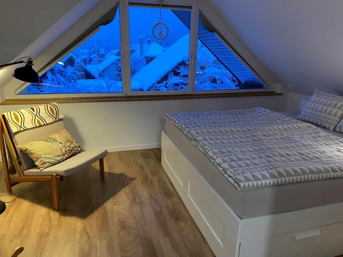 Apartment Zidana Marela - Attic With A View 克拉尼斯卡戈拉 外观 照片