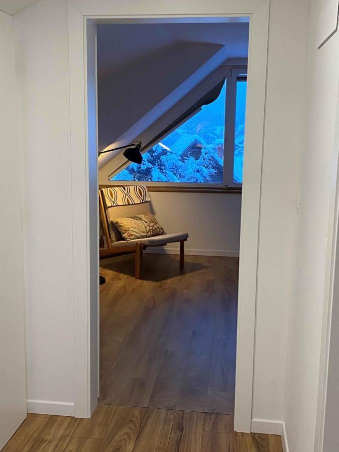 Apartment Zidana Marela - Attic With A View 克拉尼斯卡戈拉 外观 照片