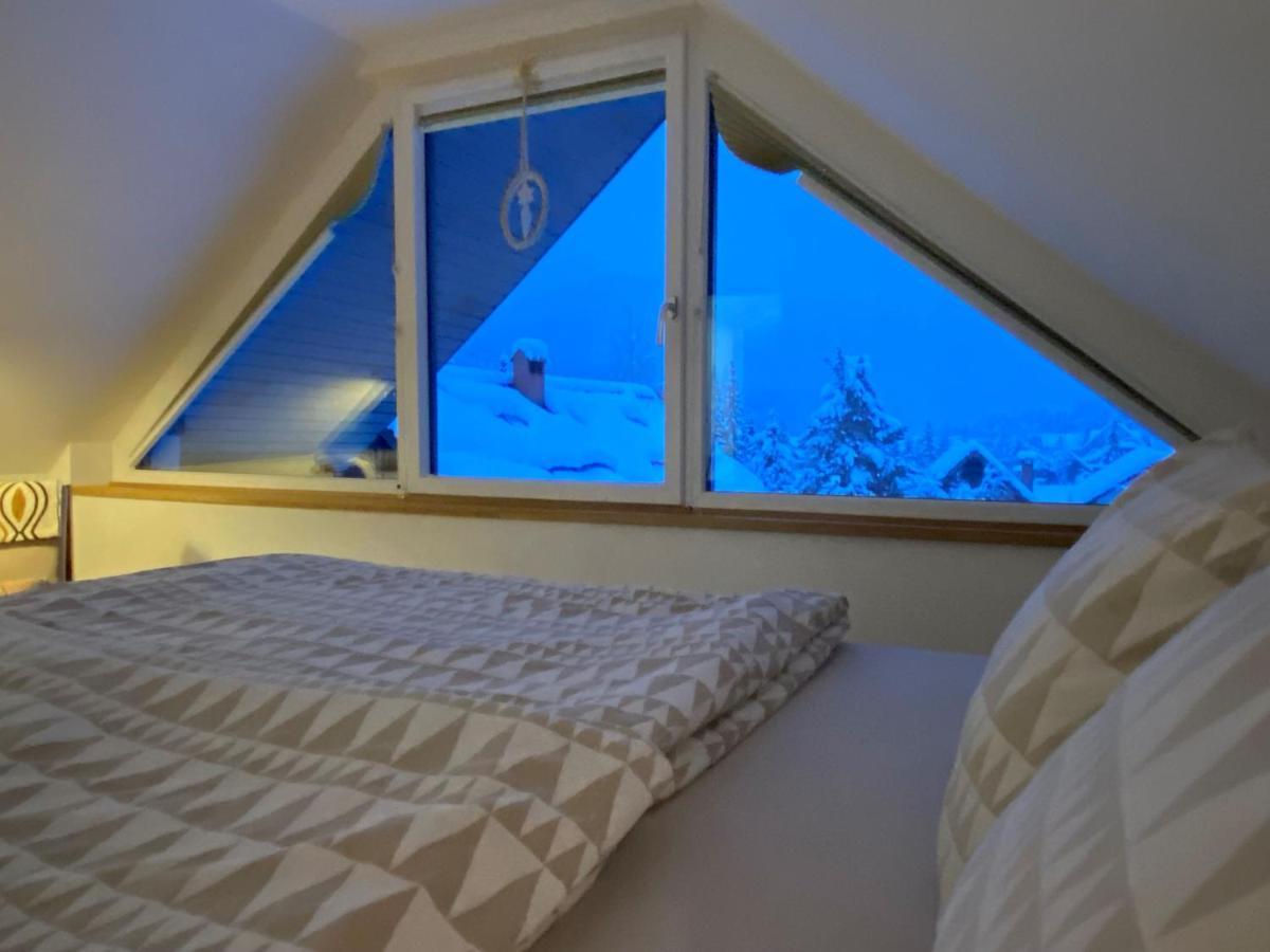 Apartment Zidana Marela - Attic With A View 克拉尼斯卡戈拉 外观 照片